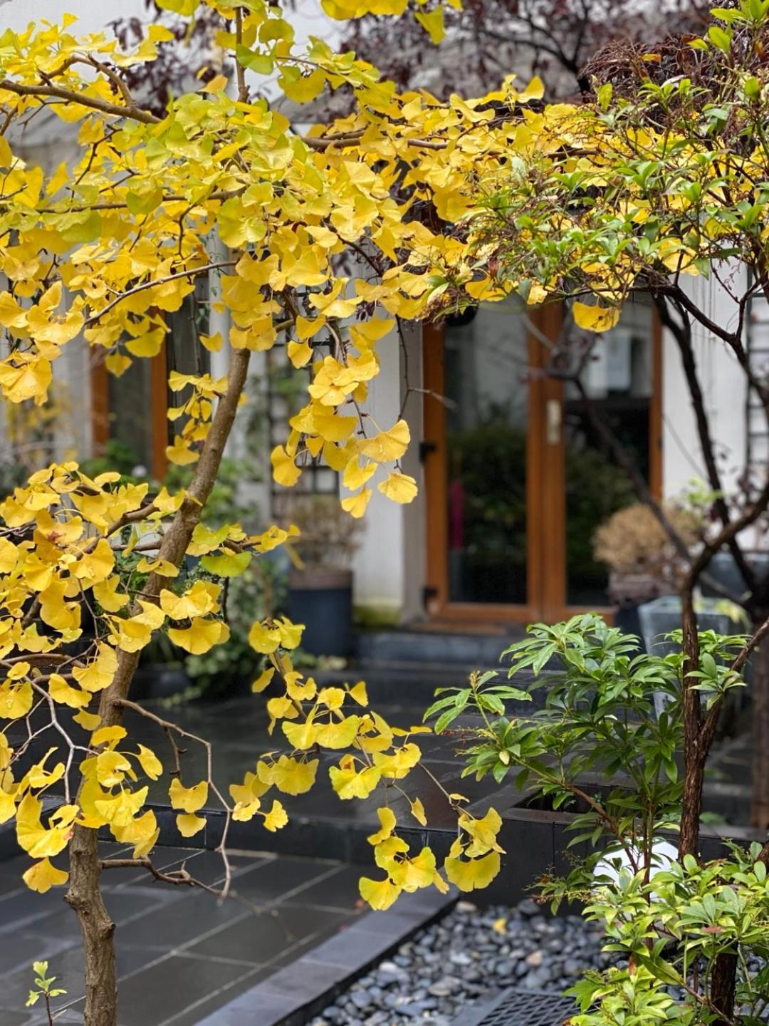 Camparis - B&B - Chambre D'Hotes 外观 照片
